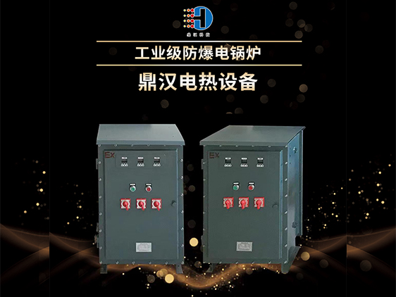 工業(yè)級防爆電鍋爐